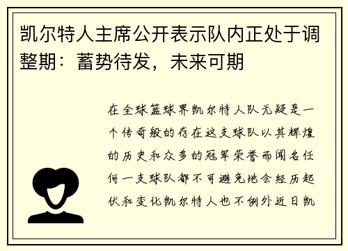 凯尔特人主席公开表示队内正处于调整期：蓄势待发，未来可期